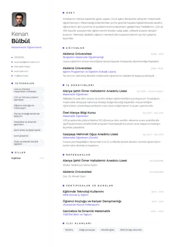 cv indir